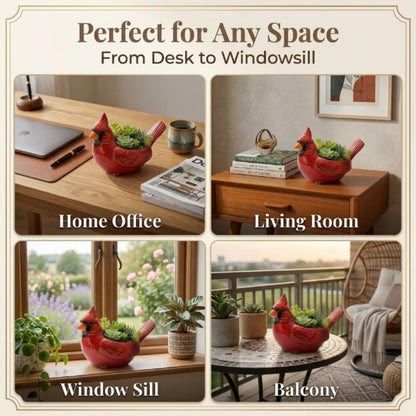 Cardinal Bird Succulent Planter, Red Resin Flower Pot with Drainage Hole, Cute Animal Decorative Plant Pot for Indoor Outdoor Succulents, Unique Gift for Bird Lovers (2Pc)