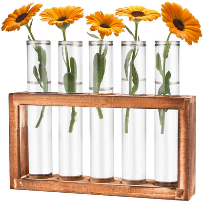 Tigvio Desktop Glass Plant Propagation Station with 5 Test Tubes in Wooden Stand - Hydroponic Plants Cutting Office Home Decoration and Garden Decor Terrarium (5 Tubes)