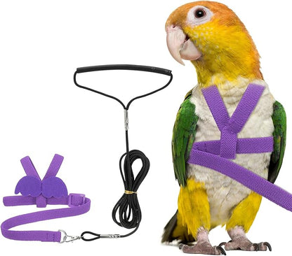 Bird Harness Leash, Adjustable Pet Parrot Bird Harness and Leash Lightweight Anti-Bite Flight Training Rope with Cute Wing, (Purple, XS), Intended for Parrots/Pigeons/Budgies