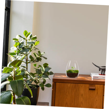 SOLUSTRE Glass Planter Bottle Micro Landscape DIY Bottle Plant Holder for Terrarium Propagation Vase Plant Terrarium