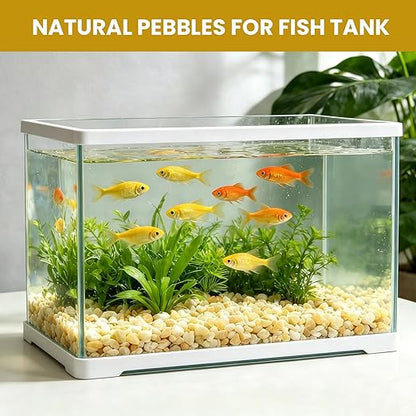 1/8 Inch Aquarium Gravel, Small Pebbles for Fish Tank, Indoor Plants & Succulents, Natural Mini River Rocks for Dressing & Vase Filler, Cream Beige, 12LB