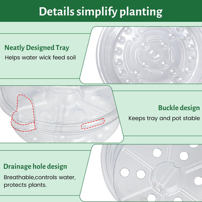 Bluepro 12 Pack 6.5 Inch Clear Self Watering Plant Pots with Bottom Water Tray & Watering Rope, Transparent Nursery Pots with Drainage for Seedlings, Herbs, and Houseplants