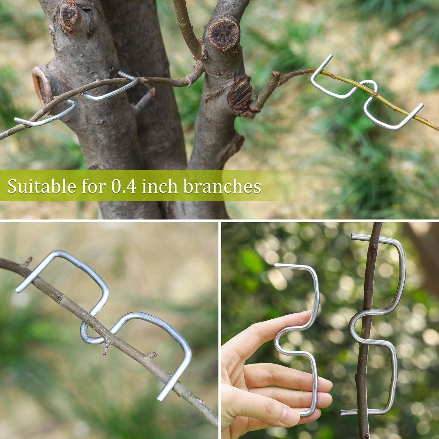 MorningRo 50 Pcs Fruit Tree Limb Spreaders Plant Tying Machine Puller Branch Spreaders Plum Tree Open Angle Pull Branch Stereotyped Tying Bending Farm Tools, M-3.15(Inch), Galvanized