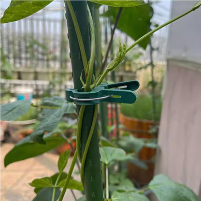 URANT 60 Pack Small Plant Clips for Garden,Stainless Steel Spring Tomato Clips for Stakes,Gentle on Stems,Non-Slip Vine Clips for Trellis,Cucumber,Orchid,Rose,Climbing Plants Support,Green