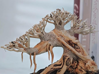 Azil Aquascape Bonsai Driftwood Tree 10” – Premium Natural Aquarium Decor for Fish Tanks, Freshwater Aquariums, Hardscape & Planted Tanks