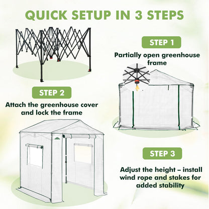 EAGLE PEAK 6x6 Portable Pop Up Greenhouse, Patented Center Lock Easy One Person Setup, Walk-in Outdoor Greenhouse with Gable Roof, Weight Bags, Zippered Doors & Windows, White