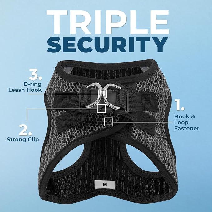 Best Pet Supplies Voyager Step-in Air All Weather Mesh Harness and Reflective Dog 5ft Leash Combo with Neoprene Handle, for Small, Medium and Large Breed Puppies - Set (Gray 2-Tone), Small