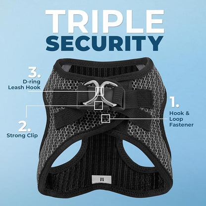 Best Pet Supplies Voyager Step-in Air All Weather Mesh Harness and Reflective Dog 5ft Leash Combo with Neoprene Handle, for Small, Medium and Large Breed Puppies - Set (Gray 2-Tone), Medium