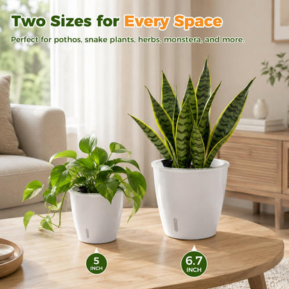 KvyusFlourish Upgraded Self Watering Pots for Indoor Plants, 4-Pack 5 Inch Top-Fill Self Watering Planter with Water Window, Orchid Pots, Clear Wick Inner Basket with Drainage, White