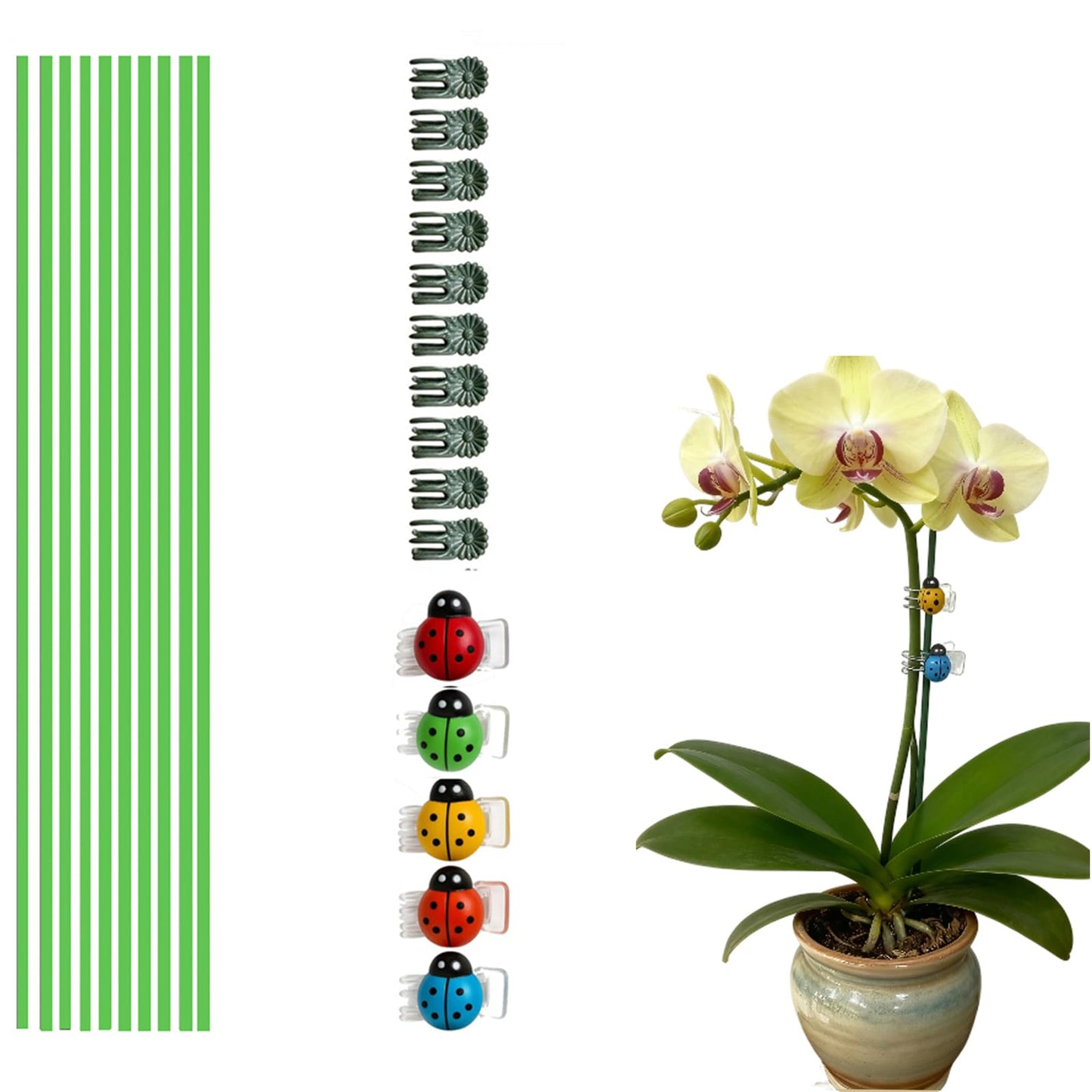 10 Pcs 16.5 Inch Bendable Metal Orchid Plant Support Stakes, Garden Flower Stakes with 15 Clips for Indoor Outdoor Potted Plants, Stem Support for Amaryllis Tomatoes Zinnias & More Flowers