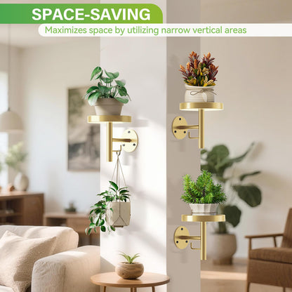 DELLAN Wall Plant Holder, 3 Pack Metal Wall Planters Stand Floating Shelves for Indoor Plants, Window Sill Plant Decor for Bedroom, Bathroom, Living Room, Home, Office, All Gold