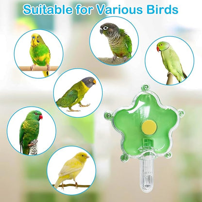 BNOSDM Bird Foraging Toys Cockatiel Foraging Wheel Parrot Cage Spinning Toys Parakeet Enrichment Puzzle Feeder Toy for Budgies Lovebirds Canaries (Green)