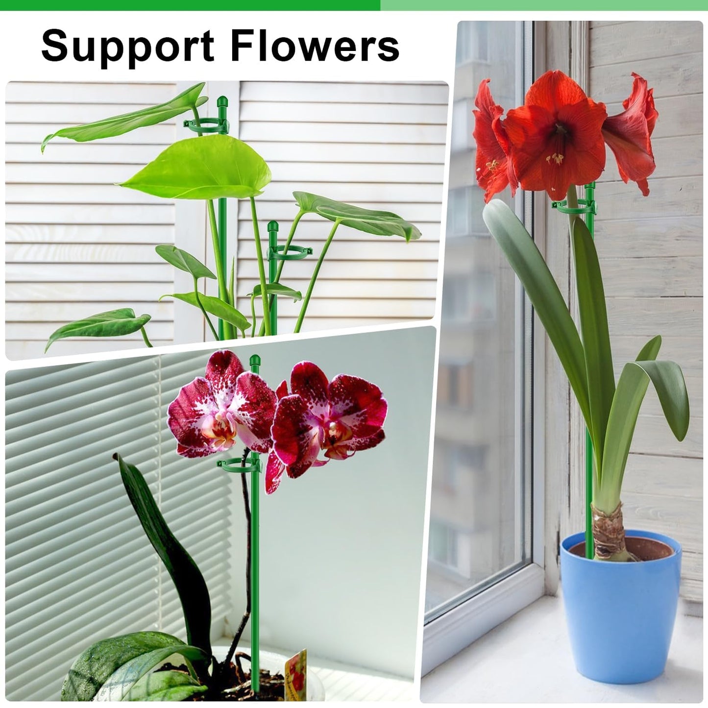30Pcs Plant Support Stakes 17 inch SupKing Garden Orchid Sticks Extended to 3ft 4ft 5ft Plant Poles with Clips for Indoor Outdoor Potted Tomato Rose Amaryllis Vegetables Comes with 20 Ties（Green）