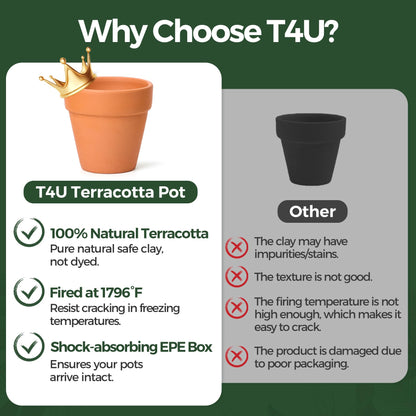T4U Mini Terracotta Pots (36pcs): 2 Inch Small Clay Pots with Drainage Holes, Ideal for Succulent Cactus Plants, DIY Crafts, Home Decor