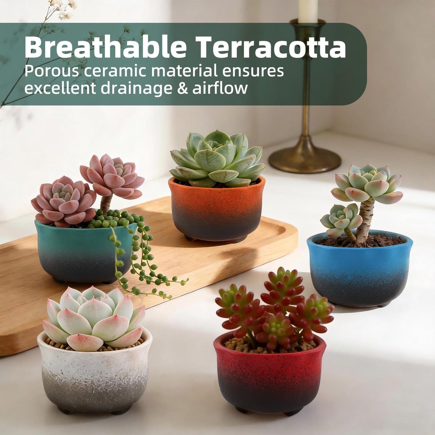 ginojex Small Ceramic Garden Pots Succulent Plant Planter Container with Drainage Set of 5 for Home Office Decor