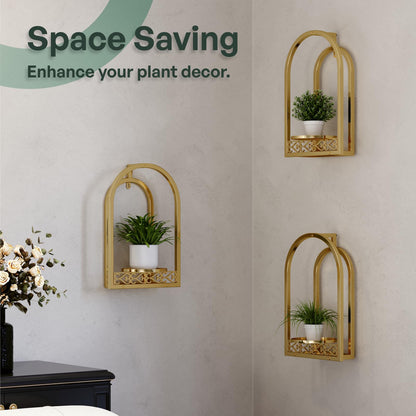 Rioneta Hanging Planter for Indoor & Outdoor Plants, Mid Century Modern Iron Frame Wall Decor for Living Room Garden Patio 3 Pack Gold（No Light）