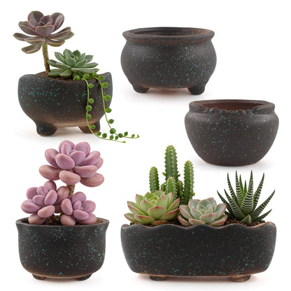 ginojex Retro Ceramic Succulent Garden Pots Small Plant Planter Container with Drainage Set of 5 for Home Office Decor