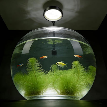 Carefree Fish Aquarium LED Light USB 7W Timer 4/8/12/18 Hours for 1~5Gal Fish Tank (Include UL Certification Power Adapter)