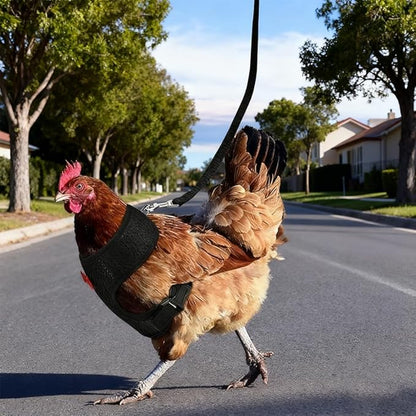 Chicken Harness and Leash Set Adjustable Mesh Breathable Duck Training Harness Pets Leashs for Goose Hen Rooster Parrots Dog Kitten, Blue M
