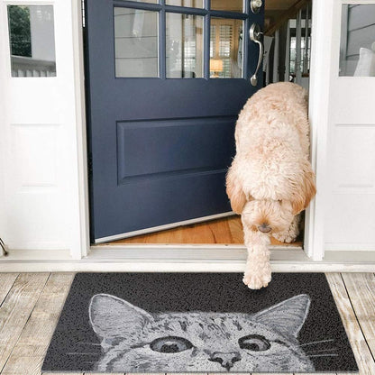 MR FANTASY Cat Door Welcome Mat - Outdoor Entrance, Durable Doormat for Indoors & Outdoors, High Traffic Areas, 17x29