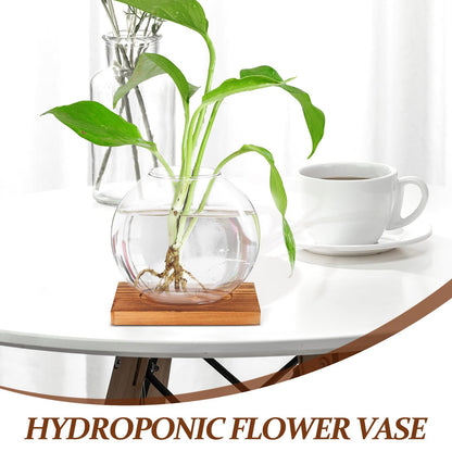 TOKIDNY Glass Plant Vase with Retro Wooden Base for Hydroponic Green Vine Propagation, Home and Office Decorative Flower Bottle Terrarium, Desktop Hydroponic Planter for Living Room