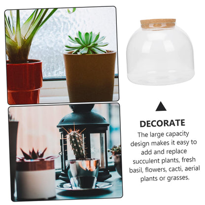 FUNOMOCYA Plant Terrariums Micro Landscape Bottle Glass Bottle Decor DIY Room Plant