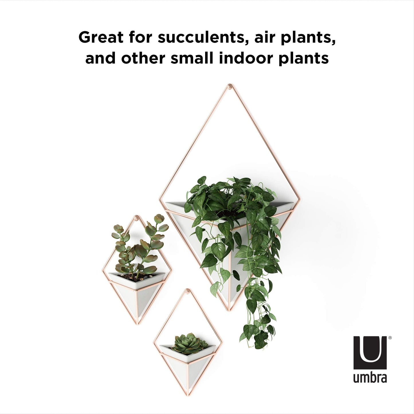 Umbra Trigg Hanging Planter Vase Wall Decor, Pot and Container for Succulents, Cactus, Faux Plants, and More, Large, Grey/Copper