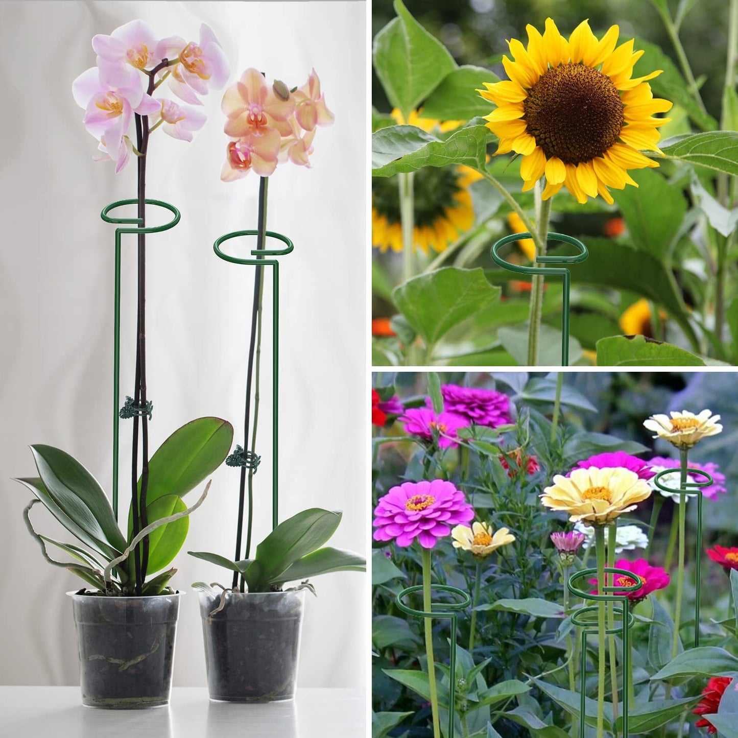 Unves 16" Tall Plant Support Stakes, 12 Pack Garden Flower Plant Stakes Single Stem, Garden Plant Support Cages Rings for Amaryllis Orchid Peony Rose, with 100 Pcs Twist Ties