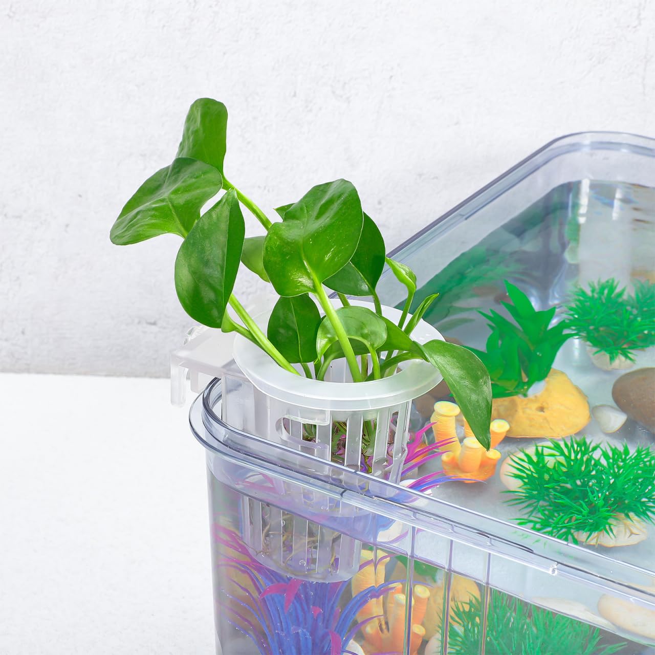 TOYANDONA 4pcs Aquarium Hanging Plant Holder Aquatic Planter Cups for Fish Tank Decoration Water Design for Aquatic Plant Cultivation