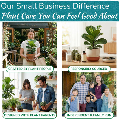 Houseplant Resource Center Fiddle Leaf Fig 3-in-1 Soil Moisture Meter for Plants – Best Indoor Plant Water Meter for Potted Houseplants - Light & Moisture Sensor Probe for Optimal Growth