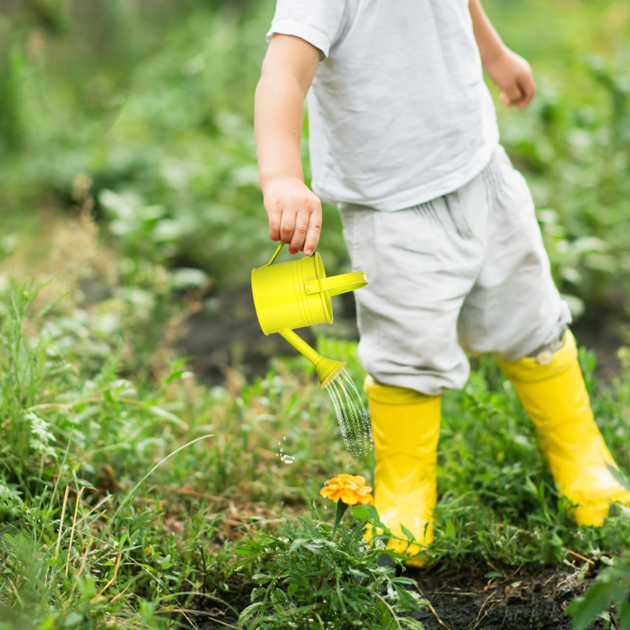 Healeved 5Pcs Iron Kids Watering Cans Chic Small Water Can Watering Bucket Kids Watering Tin Can for Garden Beach Water Bucket for Kids