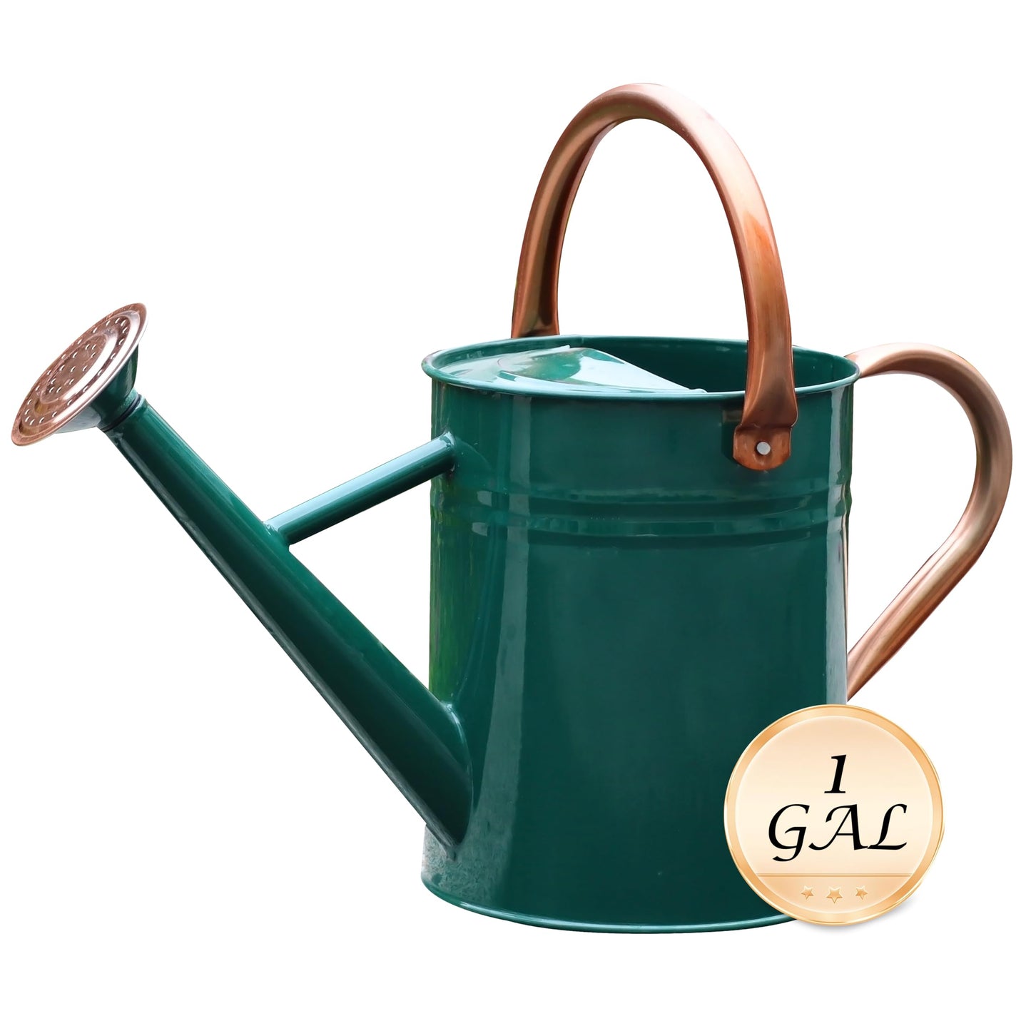 SunnyTong Metal Watering Can for Outdoor and Indoor Plants, Watering Can Decor, 1 Gallon (NewGreen)