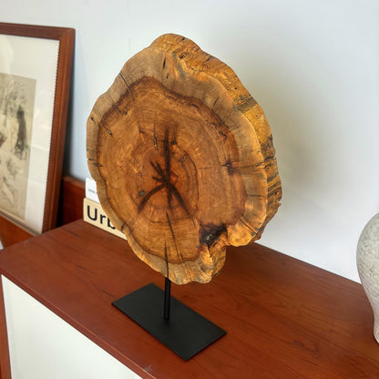 DONZIKLE Natural Live Edge Wood Sculptures Home Decor, Irregular Abstract Jujube Tree Root Wooden Statues for Table Top Decor, Decorative Root Carving Ornament (Medium)