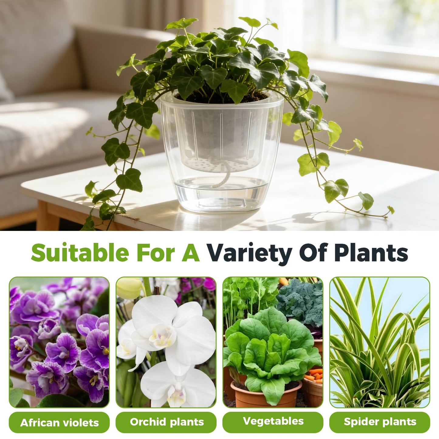 6-Pack 7 Inches Clear Self Watering Planters for Indoor Plants Large African Violet Plant Pots Plastic Wick Flower Pots with Water Injection Hole, Orchid Plant Pot Set, Clear