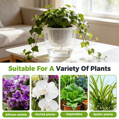 6-Pack 7 Inches Clear Self Watering Planters for Indoor Plants Large African Violet Plant Pots Plastic Wick Flower Pots with Water Injection Hole, Orchid Plant Pot Set, Clear