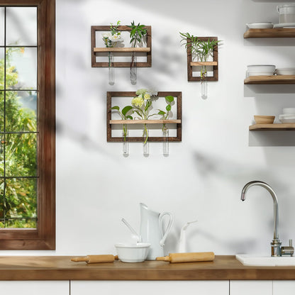 Walasis Wall Planter Propagation Stations - Hanging Glass Terrarium Tube Vase with Wood Shelf for Indoor Plants Cutting - Rustic Wall Decor for Farmhouse