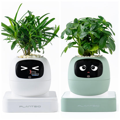 PLANTSIO Gen2 Ivy Intelligent Flower Pot for Home Decoration Plants Companion Neat Desk Setup Gift Smart Pet Planter Robot Guidance on Plant Care with Emojis