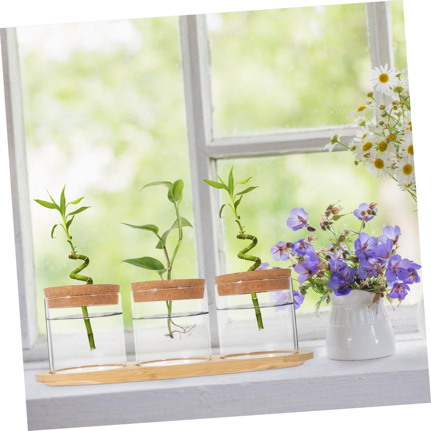 HEMOTON 3-Piece Glass Plant Terrarium Set with Bamboo Stand Hydroponics Planter for Indoor Succulents and Air Plants Decorative Tabletop Vases