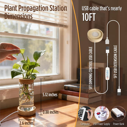 Plant Propagation Station with 9-Level Adjustable LED Light, Glass Planter Station with Waterproof Lighted Wooden Base, Desktop Hydroponic Plants Terrarium Vases Jars for Home & Office Decor