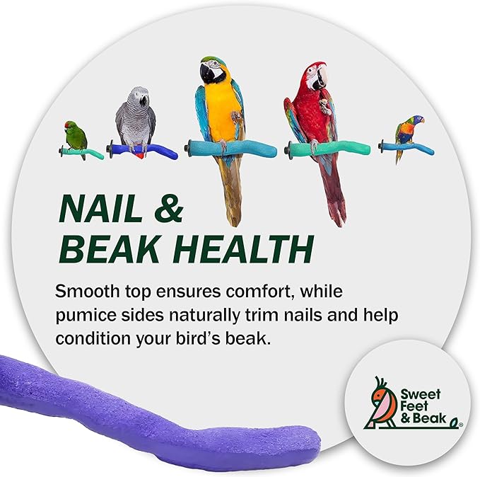 Sweet Feet & Beak Safety Pumice Bird Perch, X-Small 1/2" X 6", Lightweight Grinding Bird Perches for Cage - Bird Nail Trimming Perch for Healthy Beak & Feet - Multi-Size & Color Parrot Stand - Blue