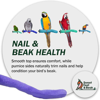 Sweet Feet & Beak Safety Pumice Bird Perch, X-Small 1/2" X 6", Lightweight Grinding Bird Perches for Cage - Bird Nail Trimming Perch for Healthy Beak & Feet - Multi-Size & Color Parrot Stand - Green