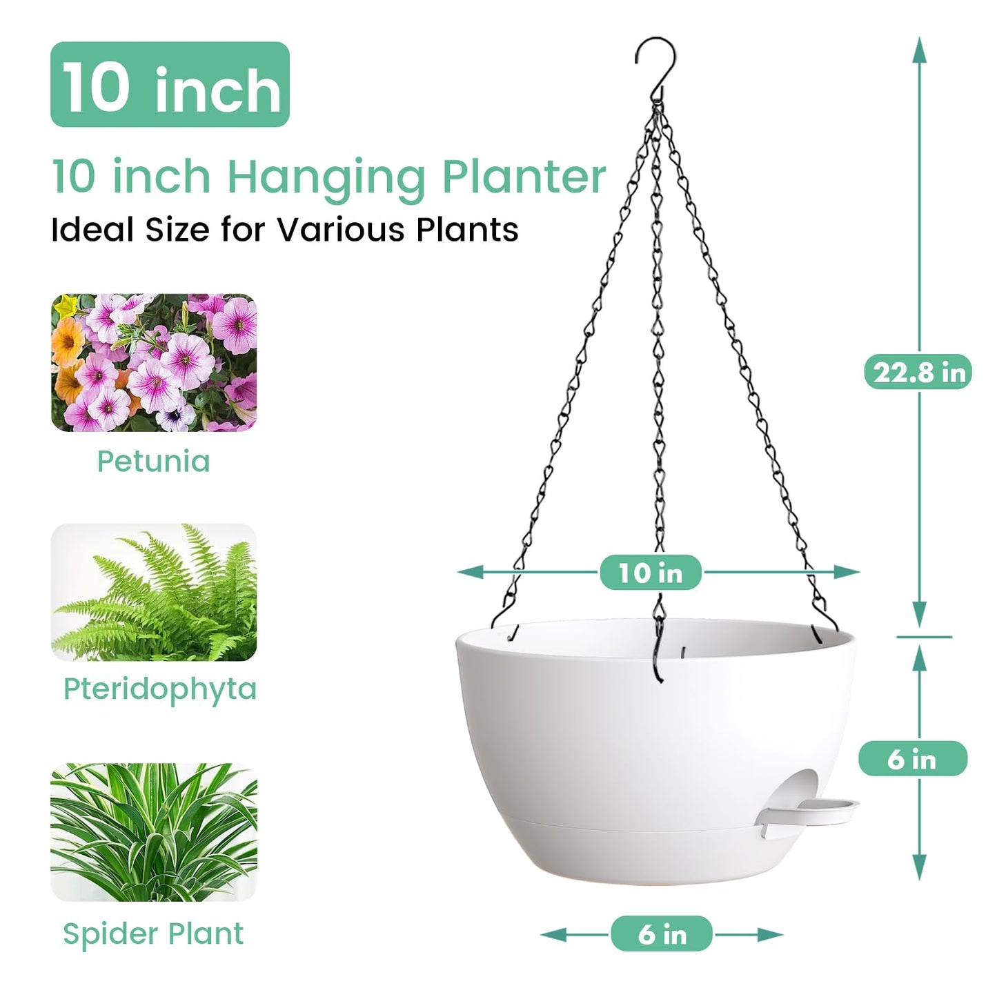 UOUZ Set of 3-10 Inch Self Watering Hanging Planters for Indoor Outdoor，Hanging Plant Pots with Drainage & Removable Tray, Hanging Pots for Pothos Plant, Spider Plants, Ferns, Balcony & Patio, White