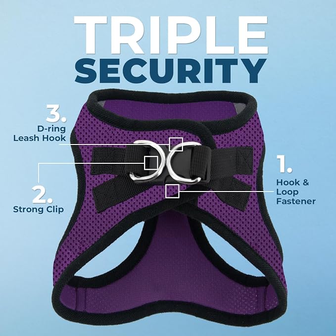 Best Pet Supplies Voyager Step-in Air All Weather Mesh Harness and Reflective Dog 5ft Leash Combo with Neoprene Handle, for Small, Medium and Large Breed Puppies - Purple/Black Trim, Small