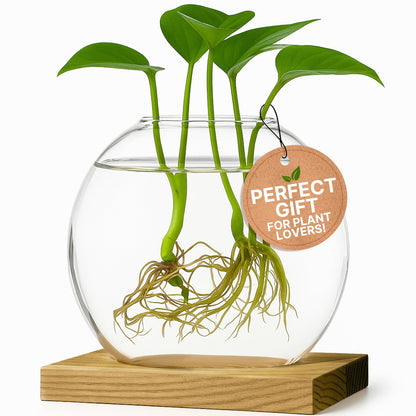 Single Glass Propagation Station with Wooden Base – Hydroponic Plant Terrarium for Home & Office | Ideal Christmas, New Year & Birthday Gift for Plant Lovers, Moms | Desktop Windowsill Planter Vase