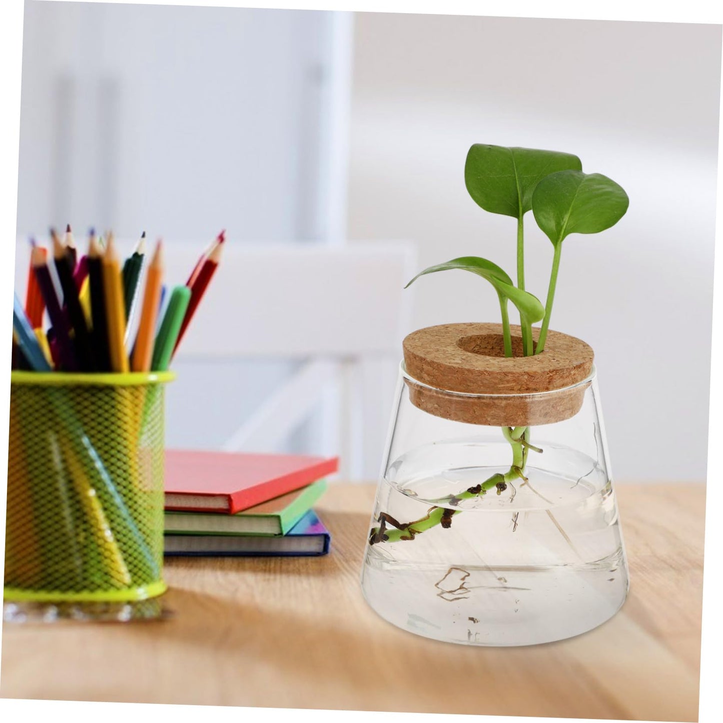 PRETYZOOM 2Pcs Glass Hydroponic Plant Vases for Desktop Home Decoration Clear Smooth Glass Terrarium for Floral Arrangement Office Plant Propagation Jar Unique Design