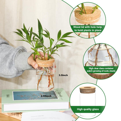 wangsdjy Separated Desktop Glass Flower Vases - Ideal Plants Propagation Stations for Living Room, Bedroom Decoration,Home Decor (6)