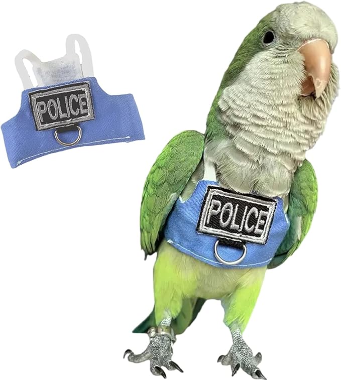 Bird Flight Harness Vest, Parrot Flight Suit with Leash, Bird Flying Clothes with Rope and Handle for Outdoor Activities (Without Leash,Cockatiel) (with Leash, XL)