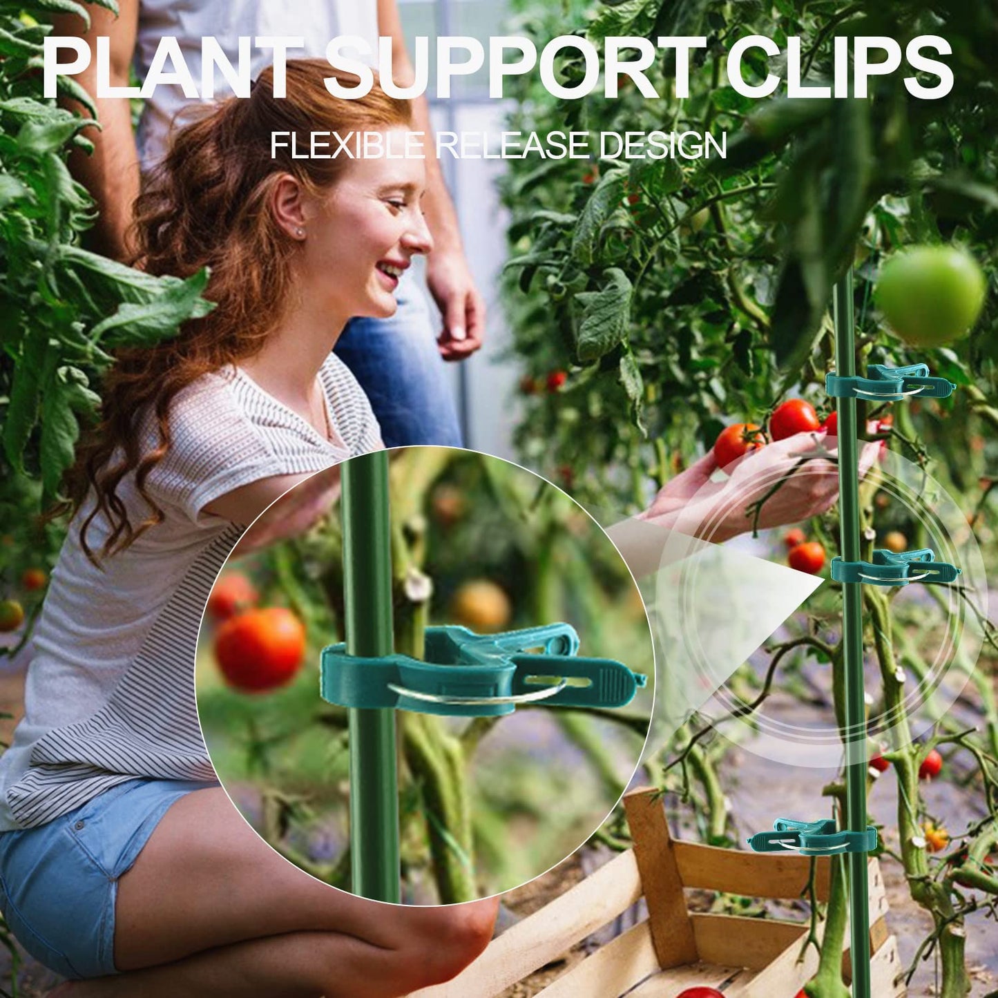 Yinghezu 80 Pcs Plant Support Clips,Flower and Vine,Garden Tomato Plant Support Clips for Supporting Stems,Vines Grow Upright Climbing,Tool for Straightening,Tomato Cage,Trellis. 2 Sizes in one Pack