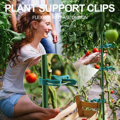 Yinghezu 80 Pcs Plant Support Clips,Flower and Vine,Garden Tomato Plant Support Clips for Supporting Stems,Vines Grow Upright Climbing,Tool for Straightening,Tomato Cage,Trellis. 2 Sizes in one Pack