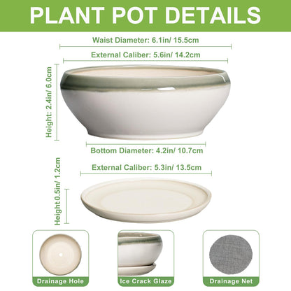 SQOWL Succulent Planters - 6 Inch Ceramic Bonsai Pots, Shallow Planter with Drainage Hole and Saucer, Round Planter for Indoor Outdoor, Cactus Succulent Pots, Desk Decor, Garden Gifts, Gray-Beige